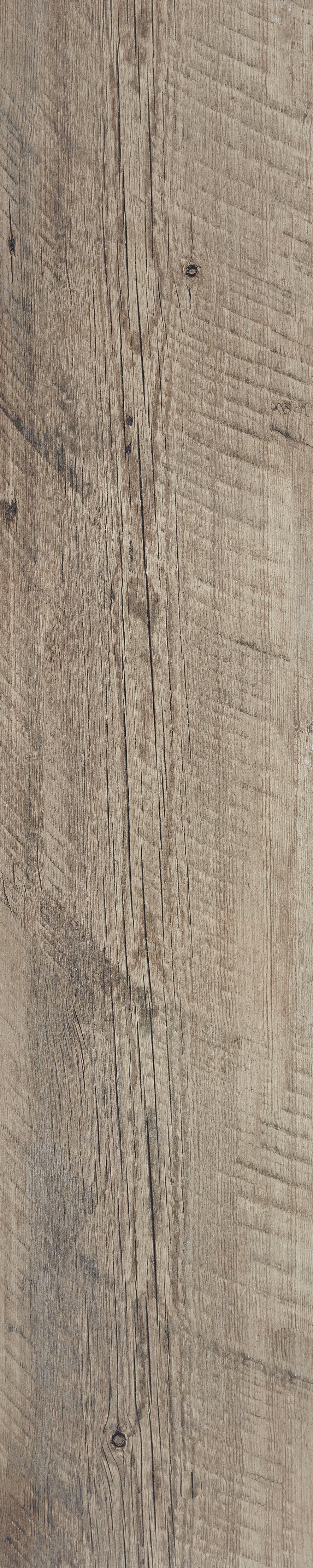 Salem Walnut