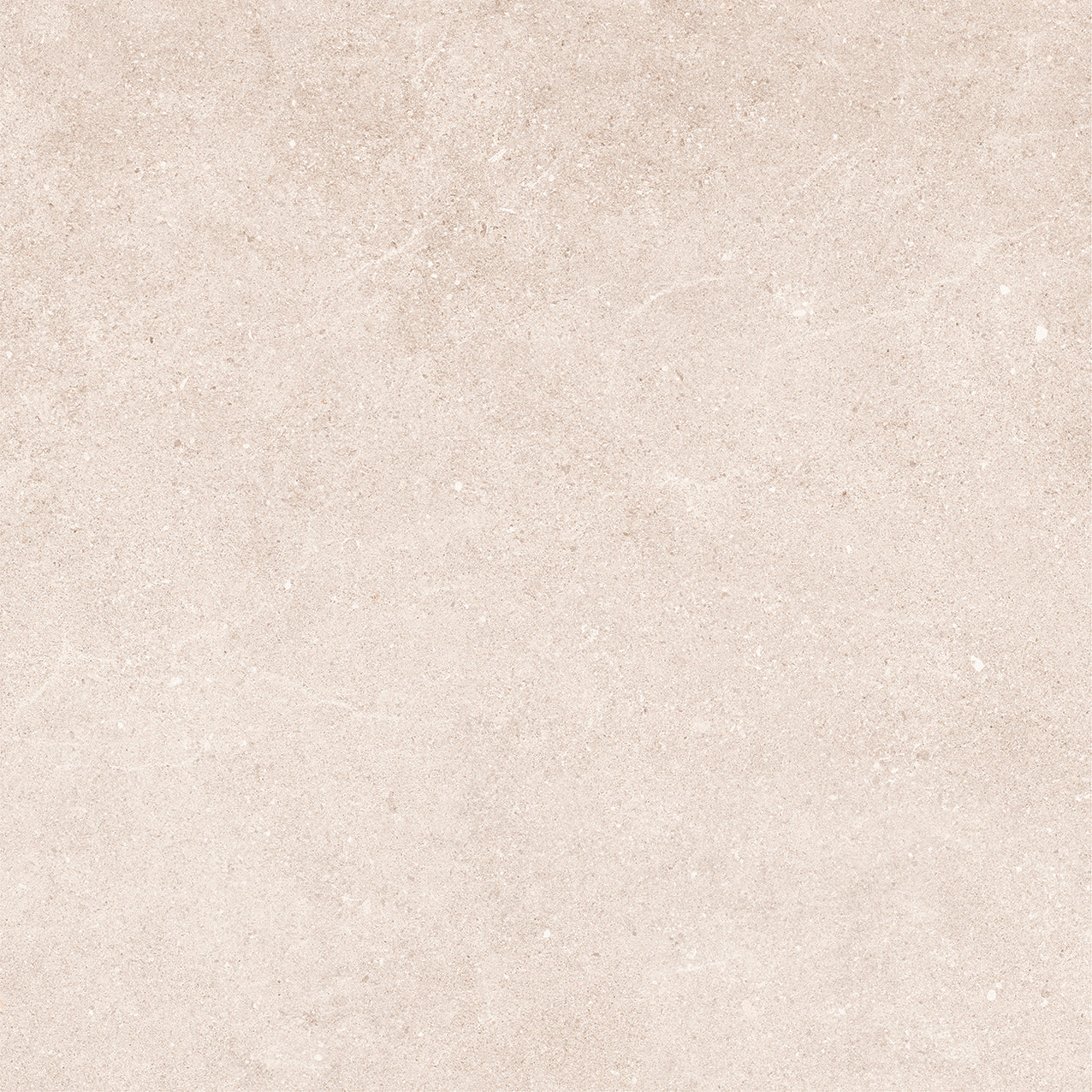 Padova Bone Rectified